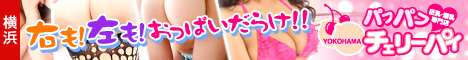���l �����������X�u���l�p�t�p�t�`�F���[�p�C�v